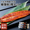 うなぎ 冷凍 うなぎ お取り寄せ 国産 鰻 蒲焼 詰め合わせ 鰻 3尾 うなぎ問屋の大五鰻蒲焼3尾セット 送料無料 シイレル お中元