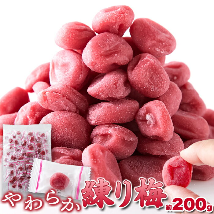 【お得な2セット】 南高梅の美味しさがギュッと詰まった!!【大容量】やわらか練り梅200g
