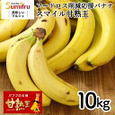 訳あり スイーツ 送料無料 業務用 訳あり甘熟王バナナ 約10kg 大容量 フルーツ 産地直送 食品ロス 無駄なく 活用 スムージー デザート ジュース 材料 ...