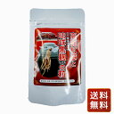 琉球黒麹 もろみ サポニン 高麗人参 紅參 健康食品 サプリメント 高麗紅參と琉球黒麹もろみの粒 90粒 1袋 送料無料 シイレル お中元