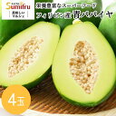フルーツ セット 青パパイヤ 4玉 フレッシュ 生食用 野菜 サラダ ピクルス おつまみ ヘルシー 健康 ダイエット 低カロリー 栄養満点 ビタミンC 食物繊維...