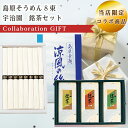 【当店限定】 【コラボ商品】 島原そうめん 8束 C-10 銘茶セット CR-15 セット 倉出