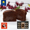 【父の日】コーヒー&トリュフショコラケーキギフト(コーヒー150g×1、トリュフショコラケーキ×6)《お届け期間:6月14日〜6月15日》 シイレル
