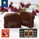 【父の日】コーヒー&トリュフショコラケーキギフト(コーヒー150g×2、トリュフショコラケーキ×6)《お届け期間:6月14日〜6月15日》 シイレル