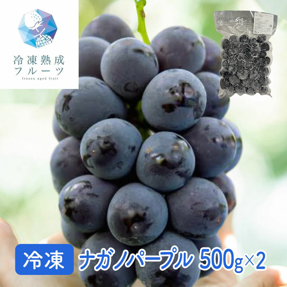 ナガノパープル 500g×2パック / 冷凍フルーツ デザート 葡萄 ぶどう ブドウ シイレル