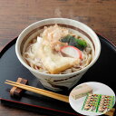 でらうま きしめん(つゆ付)(10袋) 送料無料 名古屋 ギフト 半生麺 シイレル