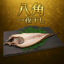 八角 一夜干し グリル焼き 塩焼き 酒の肴 ご飯のお供 バーベキュー ギフト 道東観光