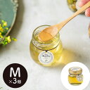 アカシアハニー M×3個 アカシアはちみつ 蜂蜜 ギフト シイレル 食品ギフト お取り寄せグルメ お歳暮