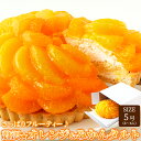 【お得な2セット】 さっぱりフルーティー♪ 贅沢★ オレンジ&みかんタルト ≪冷凍≫ フレッシュ みかん オレンジ お得 美味しい デザート さっぱり スイーツ...