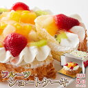 色とりどりのフルーツをたっぷりトッピング☆ フルーツショートケーキ ≪冷凍≫ フレッシュ フルーツたっぷり 贅沢な味 スイーツマーケット スイーツマーケット
