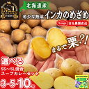 【楽天ランキング 6冠達成】 【当店限定】 のめざめ 希少 熟成 じゃがいも 3kg 5kg 10kg Suage自社農園直送 北海道産 選べる 北海道直送 自社農園産 スープカレー 詰め合わせ Suage すあげ 野菜セット 農家直送 じゃがいも ジャガイモ 送料無料 野菜
