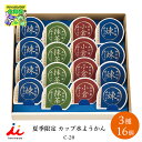 井村屋 カップ水ようかん C-20 和菓子 倉出 和菓子 水羊羹 和菓子 ギフト セット 詰合せ 和菓子 水ようかん 小倉 抹茶 和菓子 カップ 内祝い お返し...