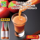 あまさけギフト 北海道お取り寄せグルメ 北海道直送便 北の味覚セット 高級ドリンクギフト 贅沢グルメギフト 北海道人気ギフト 冬の贈り物ギフト 鮮度抜群直送便 下川事業協同組合「ふるさとの元気」八海山の麹だけで作ったあまさけブレンド2本セット お歳暮 FUJI