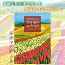 カタログギフト グルメ 北海道を楽しむ カタログギフト 送料無料 北海道のおくりもの HDO-G ギフト お祝い お返し プレゼント グルメ 有名ブランド 体験 温泉 選べる カタログ品 ハーモニック 食品ギフト お取り寄せグルメ