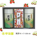 お茶 宇治 銘茶 茶葉 セット 国産 宇治園 銘茶セット HM-40 倉出 お茶 ギフト 高級 お茶 煎茶 国産 お茶 宇治 銘茶 茶葉 セット 玉露 茶 詰合せ 内祝い 出産内祝い お祝い FUJI 食品ギフト お取り寄せグルメ