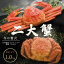 6-12月限定かに 姿 ズワイガニ 毛がに かに 蟹 2種 食べ比べ ギフト ずわいがに毛がにセット 贈り物 贈答 内祝い 結婚祝い 出産祝い お返し お取り寄...