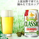 今季出荷開始中！お歳暮 ビール ギフト【数量限定/北海道限定販売】送料無料 サッポロクラシック’23 富良野VINTAGE(350ml×24本入り)【北海道 富良野ビンテージ 富良野ヴィンテージ サッポロビール 1箱 ケース まとめ買い 自宅用】