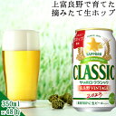 今季出荷開始中！お歳暮 ビール ギフト【数量限定/北海道限定販売】送料無料 サッポロクラシック’23 富良野VINTAGE(350ml×48本入り)【北海道 富良野ビンテージ 富良野ヴィンテージ サッポロビール 2箱 ケース 自宅用 まとめ買い】