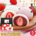 内祝い 和菓子 ギフト送料無料 京都 養老軒 博多あまおう まるごと苺大福(5個)【母の日 プレゼント お返し 御返し お祝い 和スイーツ 大福 いちご大福 苺...