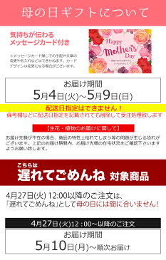 母の日 フルーツ ギフト送料無料 山形県産佐藤錦 ハウスさくらんぼ 【母の日ギフト Mother`s Day 2021 限定ギフト 期間限定 果物 フルーツ サクランボ さくらんぼ 国産 かわいい きれい 人気 直送 メッセージカード】【M】【21m】