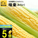 2024年 予約受付中 8月頃出荷開始とうもろこし 北海道 送料無料 北海道産 味来【未来 トウモロコシ とうきび 北海道産 北海道直送 夏 旬 イエロー系 果物 フルーツ 産地直送 北海道 みらい ミライ ゴールド】