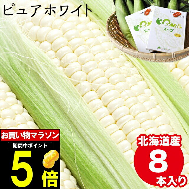 2024年 予約受付中 8月下旬出荷開始とうもろこし 北海道 送料無料 北海道産 白いとうもろこし 南幌町明るい農村ネットワーク ピュアホワイト＆スープセット【トウモロコシ とうきび 直送 おいしい 白い ホワイト 旬 白系 果物 フルーツ　スイーツ】