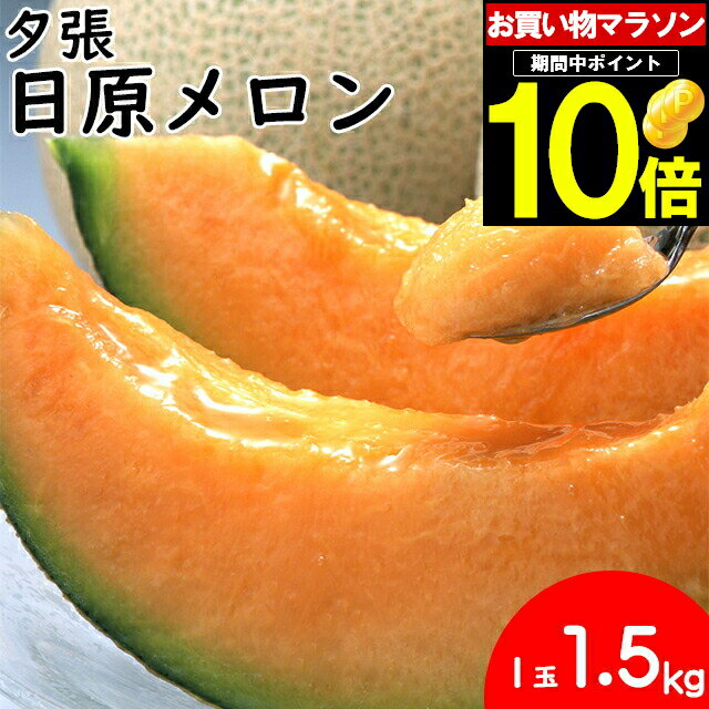 【予約】メロン ギフト 送料無料 北海道夕張産 メロン 日原メロン (1玉約1.5kg)【御中元 暑中見舞い 夕張 夕張産 ゆうばり 赤肉メロン 赤肉 北海道直送 産地直送 北海道産 北海道メロン めろん 夏フルーツ 産地直送 贈り物 ブランドメロン】 hihame