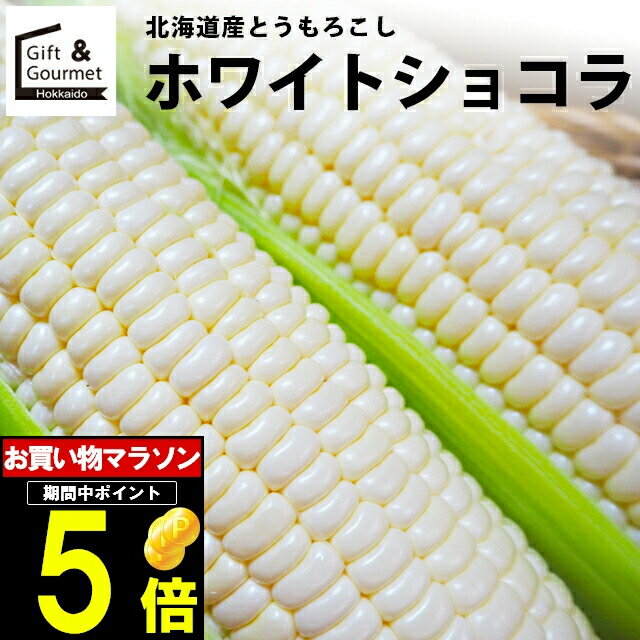 2024年 予約受付中 9月頃出荷開始とうもろこし 北海道 送料無料 北海道産 ホワイトショコラ【トウモロコシ とうきび 白系 ホワイト 白いとうもろこし 北海道直送 旬 果物 フルーツ 新鮮直送 ピュアホワイト系】