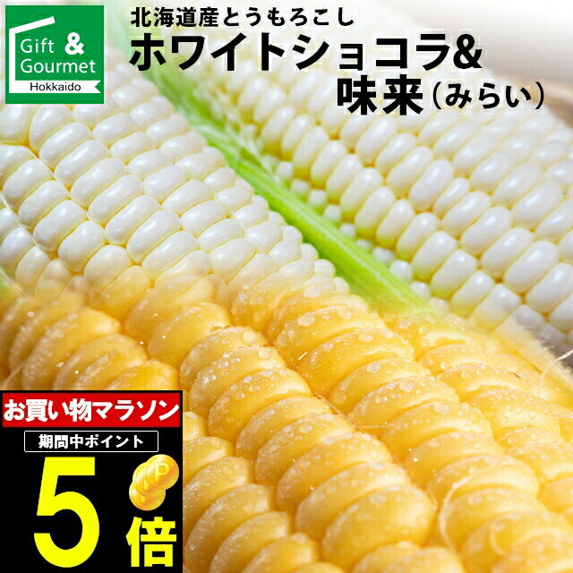 2024年 予約受付中 9月頃出荷開始とうもろこし 北海道 送料無料 北海道産 ホワイトショコラ・味来 食べ比べ【とうもろこし 食べくらべ 2種類 混合 新鮮直送 新鮮 直送 おいしい スイーツ 旬 トウモロコシ とうきび 果物 甘い】