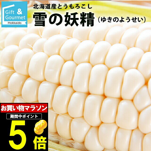 2024年 予約受付中 8月頃出荷開始とうもろこし 北海道 送料無料 北海道産 雪の妖精【トウモロコシ とうきび 南幌 産地直送 新鮮 直送 おいしい 白い ホワイト 旬 白系 果物 フルーツ　スイーツ ピュアホワイト系 新品種 珍しい】