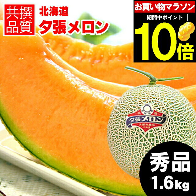 メロン 【予約】お中元 メロン ギフト 送料無料 北海道 夕張メロン（共撰 秀品 約1.6kg/Lサイズ）【御中元 暑中御見舞 夕張 ゆうばり 贈り物 赤肉メロン 北海道メロン 夕張農協 夕張 ゆうばり ゆうばりメロン 北海道産 1玉 2玉 3玉 5玉 1.6kg】 yumeky