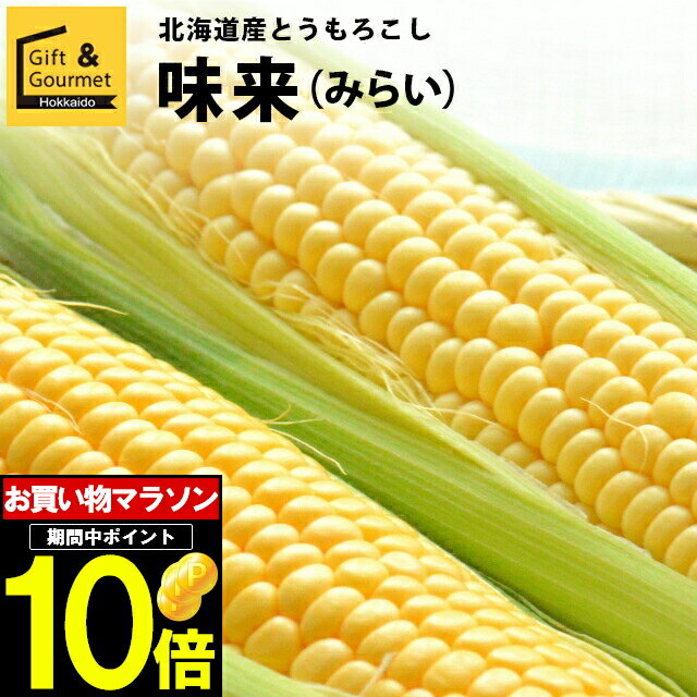 2024年 予約受付中 8月頃出荷開始とうもろこし 北海道 送料無料 北海道産 味来【未来 トウモロコシ とうきび 北海道産 北海道直送 夏 旬 イエロー系 果物 フルーツ 産地直送 北海道 みらい ミ…