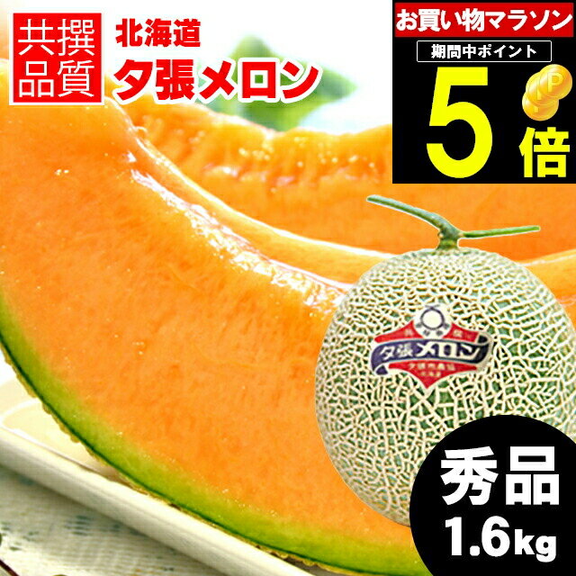 メロン 【予約】お中元 メロン ギフト 送料無料 北海道 夕張メロン（共撰 秀品 約1.6kg/Lサイズ）【御中元 暑中御見舞 夕張 ゆうばり 贈り物 赤肉メロン 北海道メロン 夕張農協 夕張 ゆうばり ゆうばりメロン 北海道産 1玉 2玉 3玉 5玉 1.6kg】 yumeky