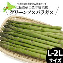 【今季出荷中】送料無料 北海道産 アスパラガス L-2Lサイズ【北海道 アスパラ L 2Lサイズ 大きいサイズ あすぱら アスパラガス グリーンアスパラ 緑 旬の野菜 春野菜 旬 新鮮 道産 野菜 産直 春野菜 旬の野菜 おいしい おかず サラダ 人気】