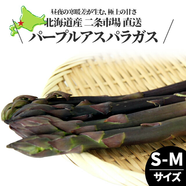 今季出荷開始中送料無料 北海道産 パープルアスパラ S-Mサイズ【旬野菜 BBQ 春野菜 アスパラ アスパラガス 紫アスパラガス 紫アスパラ 北海道産 野菜 旬】