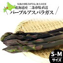2025年 予約受付中送料無料 北海道産 パープルアスパラ S-Mサイズ【旬野菜 BBQ 春野菜 アスパラ アスパラガス 紫アスパラガス 紫アスパラ 北海道産 ...