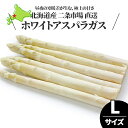 【出荷中】送料無料 北海道産 アスパラガス ホワイトアスパラ Lサイズ(秀品)【旬野菜 BBQ 春野菜 アスパラ アスパラガス ホワイトアスパラガス ホワイト 白い 白 北海道産 野菜】