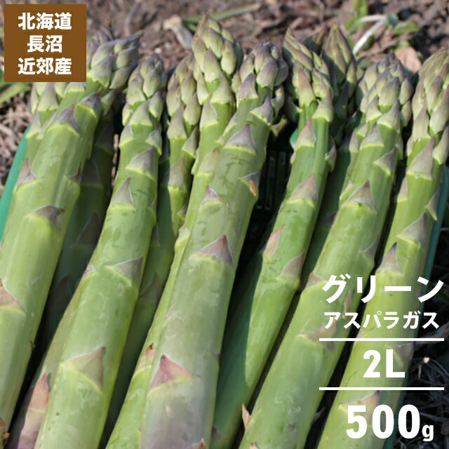 今季出荷開始中送料無料 北海道長沼近郊産 グリーンアスパラ 2L 500g【北海道産 道産 野菜 500g 500グラム 2L 大きい アスパラ あすぱら あすぱらがす アスパラガス グリーン みどり 旬 旬野菜…