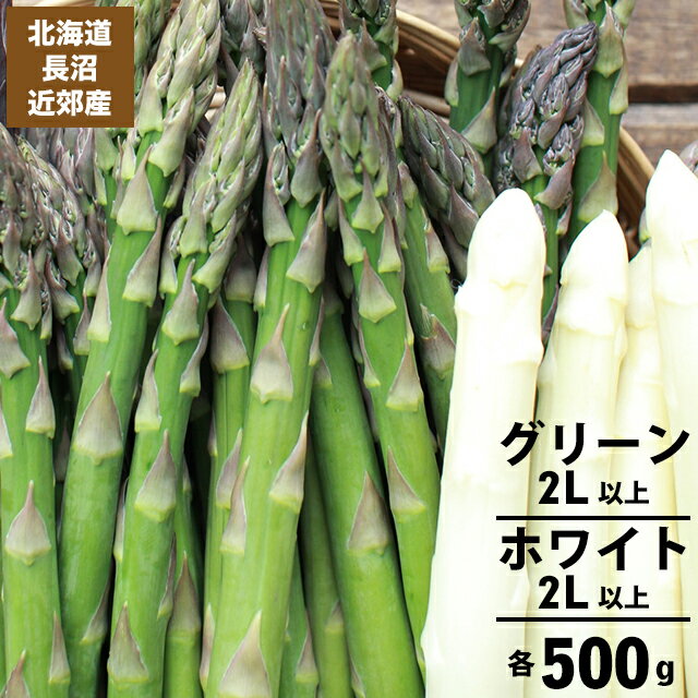 2023年ご予約承り中 5月出荷開始送料無料 北海道長沼近郊産 グリーンアスパラ(2L以上)＆ホワイトアスパラ(2L以上)各500g 合計1kg【北海道産 道産 1kg 1キロ アスパラガス グリーンアスパラガス ホワイトアスパラガス 白 旬野菜 春野菜 季節野菜】