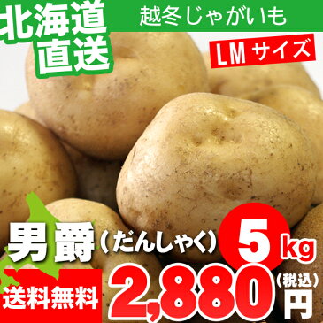 今季出荷中！越冬じゃが じゃがいも 送料無料 北海道産 男爵薯(LMサイズ) 1箱5キロ入り【5kg 5kg 5キロ 男爵 いも イモ 薯 ジャガイモ 北海道 野菜 秋野菜 産地直送 男爵いも 男爵イモ お取り寄せ 人気】