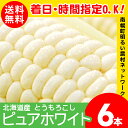 2018年度 今季出荷開始中!送料無料 北海道産 白いとうも...