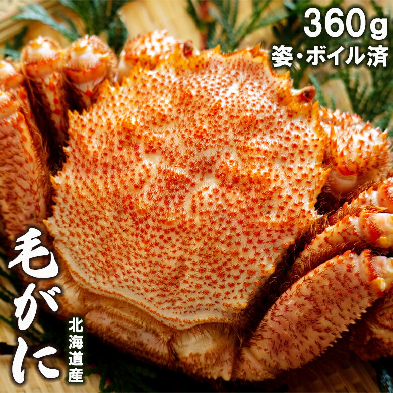 母の日 カニ かに 海鮮 ギフト送料無料 北海道産 毛がに 1尾 360g(ボイル済み)【蟹 毛がに ...