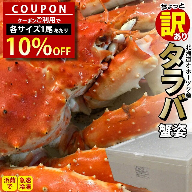 ＼数量限定★クーポン利用で10%OFF／カニ かに 海鮮 ギフト【数量限定】送料無料 北海道産(オホーツク海)ちょっと訳有り タラバ蟹姿(堅蟹)【父の日ギフト 2024 内祝い お返し 訳あり 訳アリ 北海道 3kg 2kg タラバガニ たらばがに タラバ 訳あり】 23knc