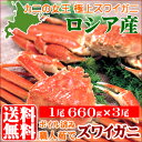 送料無料 ズワイガニ 3尾(1尾約660g×3尾・ボイル済み)【蟹 カニ かに ずわいがに ずわい蟹 北海道産 水産 海産物 海鮮 内祝い 御祝い 水産品 御祝い 法事 法要 返礼 御挨拶 プレゼント】【凍】