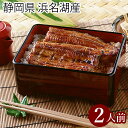 内祝い うなぎ 国産 浜名湖 ギフト送料無料 静岡県浜松・浜名湖産 うなぎセット(2尾)【母の日 プレゼント お返し 出産内祝い 結婚内祝い ウナギ スタミナ食...