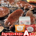 母の日 肉 ギフト【長沼本店直送/送料無料】 かねひろジンギスカン Aセット【母の日ギフト プレゼント 2024 内祝い ラム肉 羊肉 ジンギスカン 成吉思汗 味付き セット バラエティ 詰合せ 詰め合わせ 直送 焼肉 BBQ グルメ】 gghp