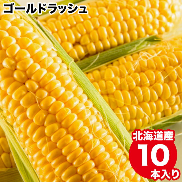 2023年ご予約承り中 9月出荷開始とうもろこし 北海道 送料無料 北海道産 ゴールドラッシュ（10本入り）【イエロー系 甘い 人気品種 とうきび トウモロコシ 新鮮直送 新鮮 直送 おいしい スイーツ 旬 フルーツ 新鮮直送 黄色系 新鮮 直送】