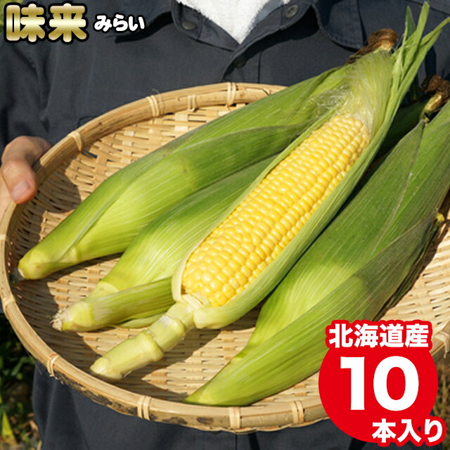 2023年 予約承り中 8月出荷開始とうもろこし 北海道 送料無料 北海道産 味来(10本入り)【未来 トウモロコシ とうきび 北海道産 北海道直送 夏 旬 イエロー系 果物 フルーツ 産地直送 北海道 みらい ミライ ゴールド】