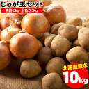 今季出荷開始中！越冬 送料無料 北海道産 じゃが玉セット 男爵 5kg(Mサイズ以上)＆玉ねぎ 5k ...