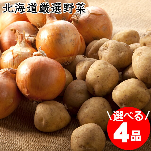 全国お取り寄せグルメ北海道野菜セット・詰め合わせNo.16